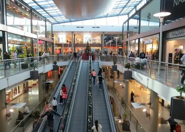 Cozy Flat プエルト・デル・ロサリオ