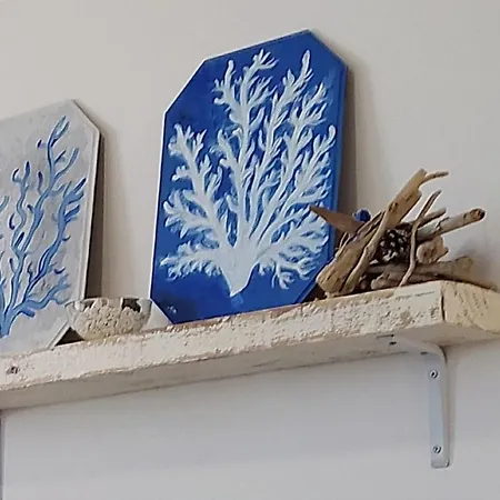 Cozy Flat * Puerto del Rosario (Fuerteventura)